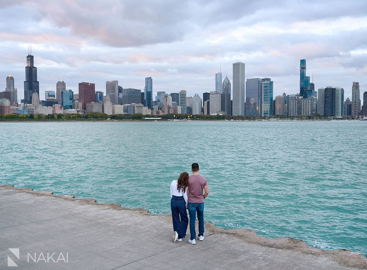 chicago museum engagement photos skyline