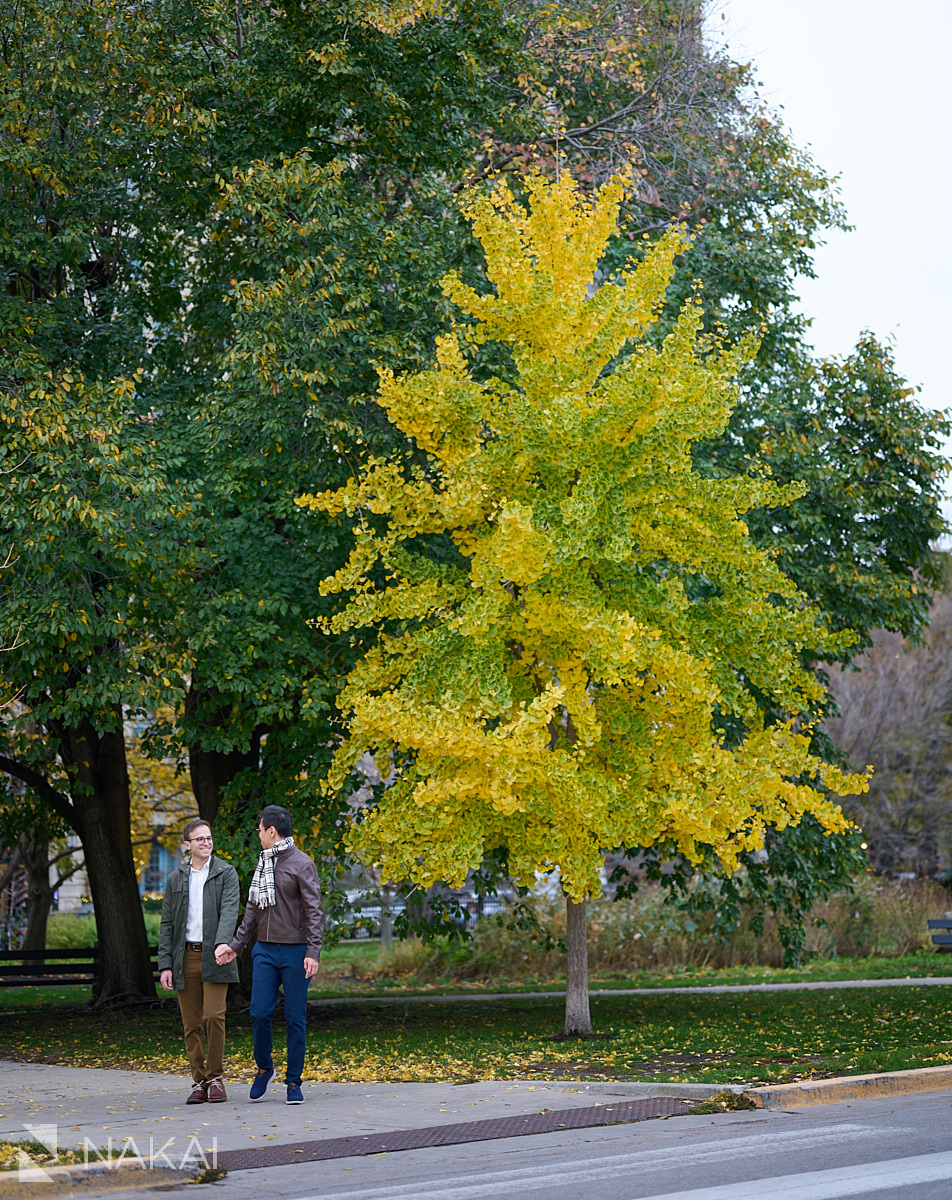 fall lincoln park engagement photos same sex couple